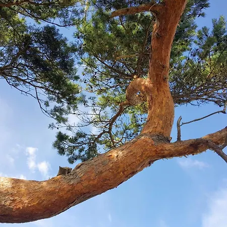 Сasa de vacaciones Luxury Retreat - By Traum *