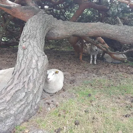 Luxury Retreat - By Traum